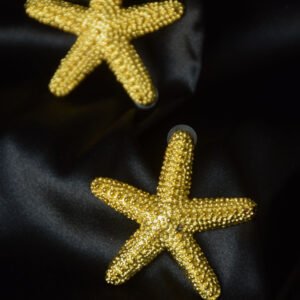 Aretes estrella de Mar