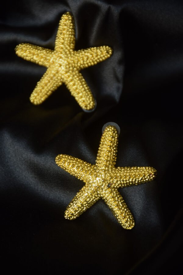Aretes estrella de Mar